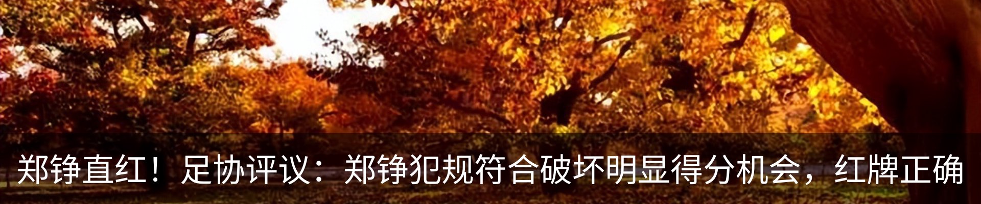内页banner