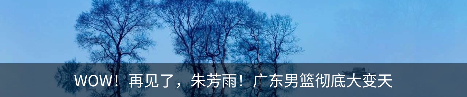 内页banner